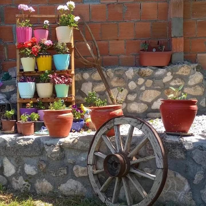 Yesil Kelebek Ev Kadikoy (Fethiye) Exterior photo
